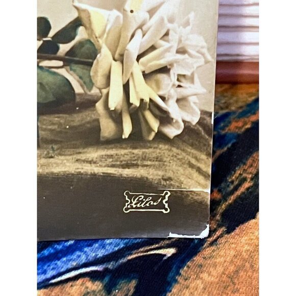 Antique French Postcard Roses Hand Colored Real Photograph Posted The Sower - Picture 5 of 9